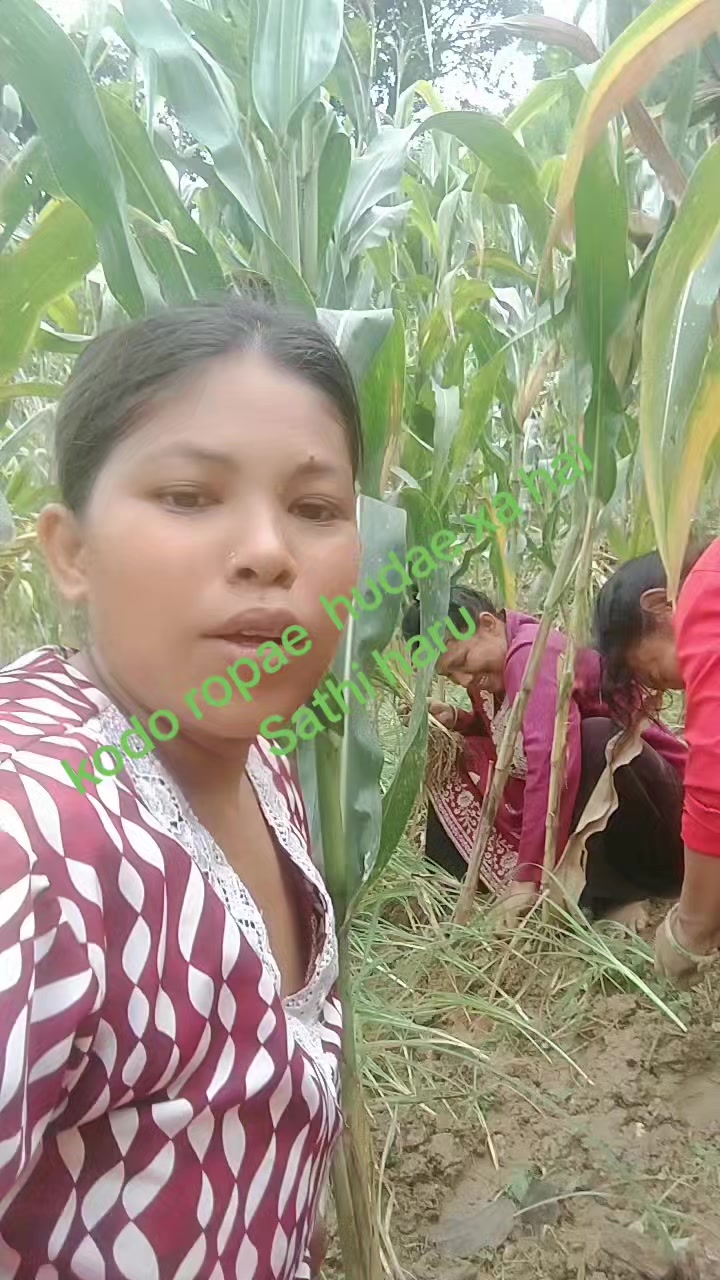 @sikha magarni