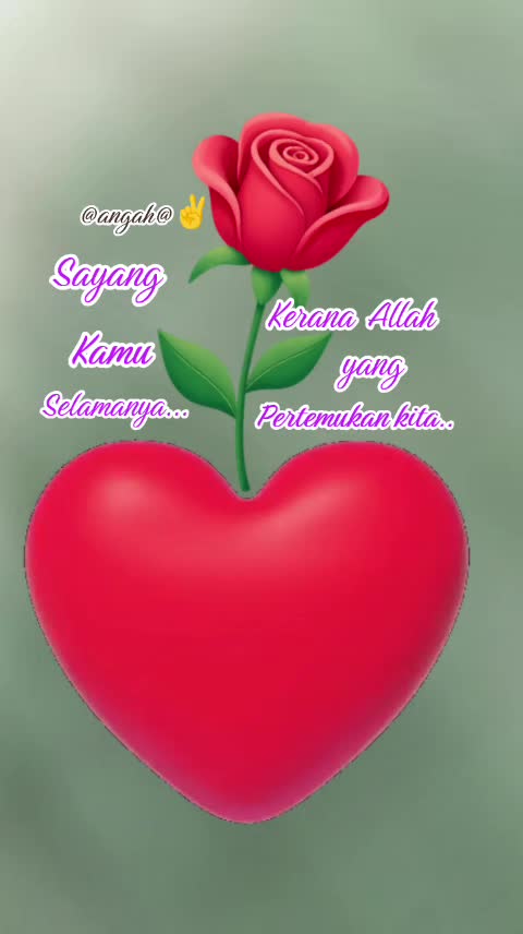 @@angah@✌️