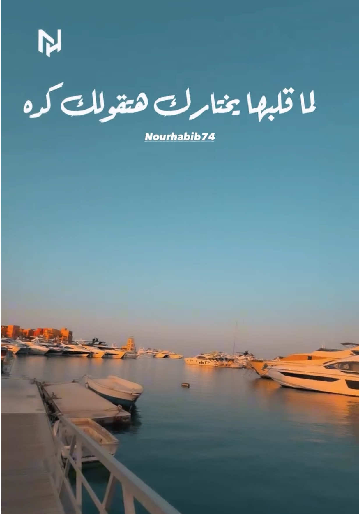 @NourHabib74