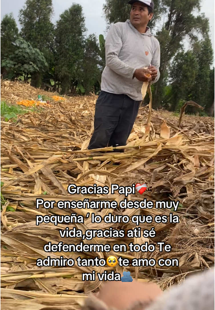@Ani Mendoza🦥🇵🇪
