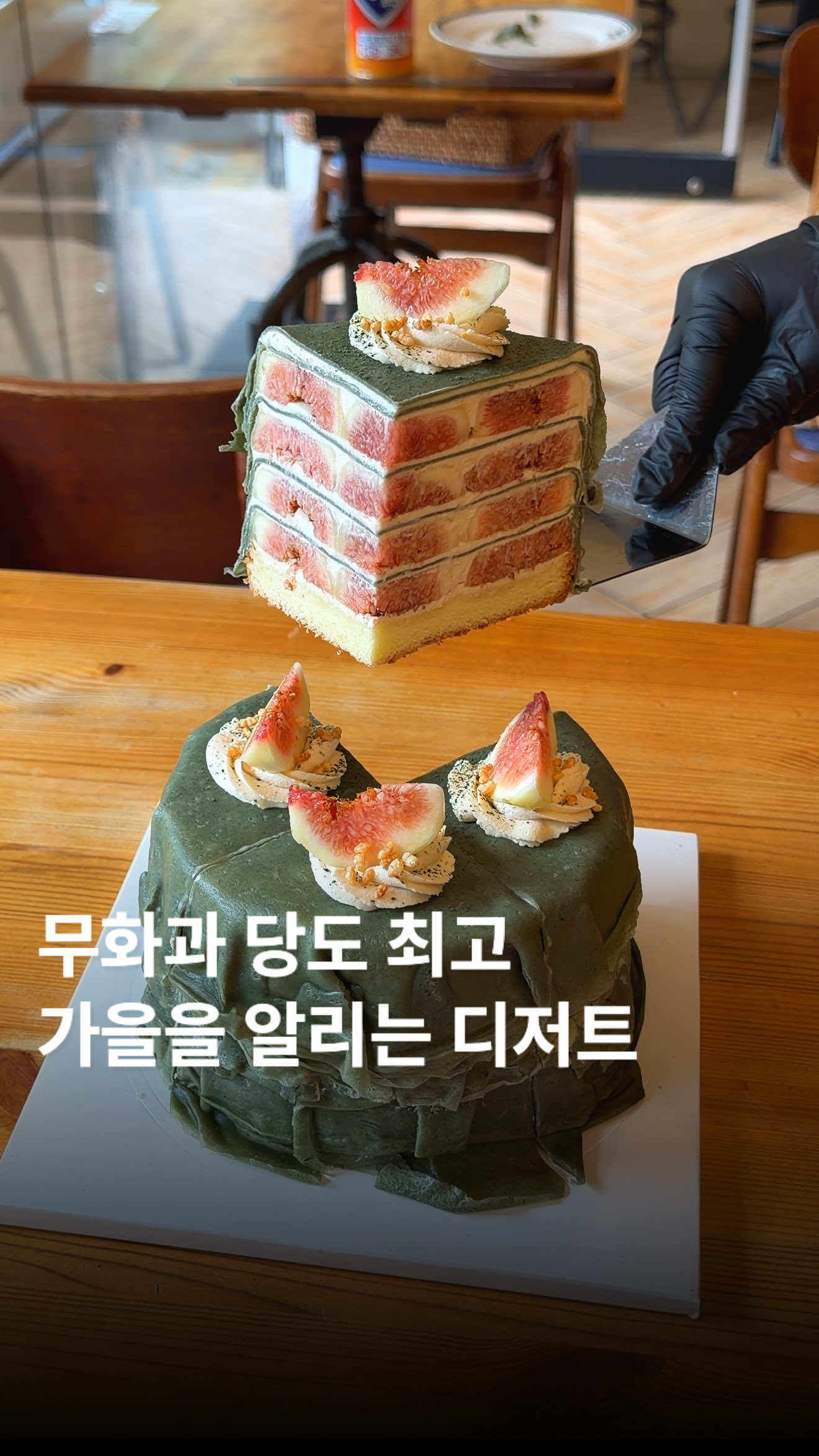 @๋ฌธ๋ฌ