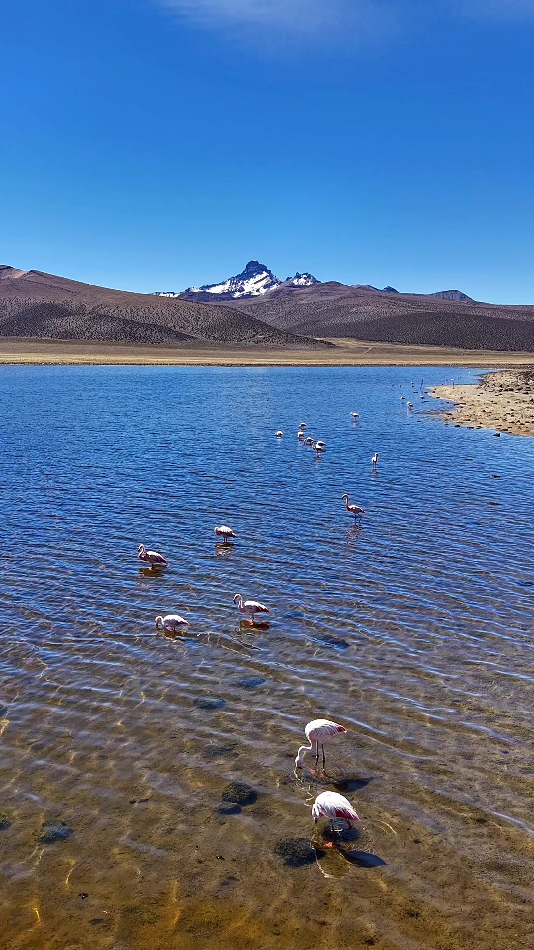 @VISION TOURS BOLIVIA