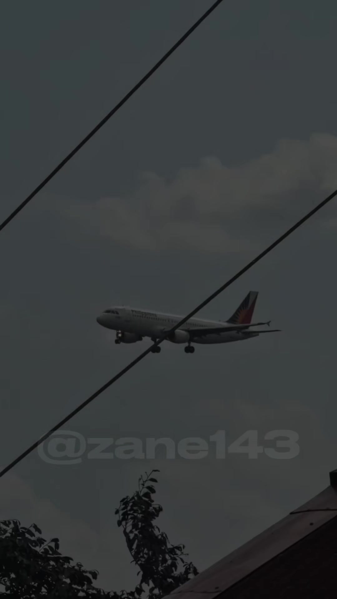 @zane143
