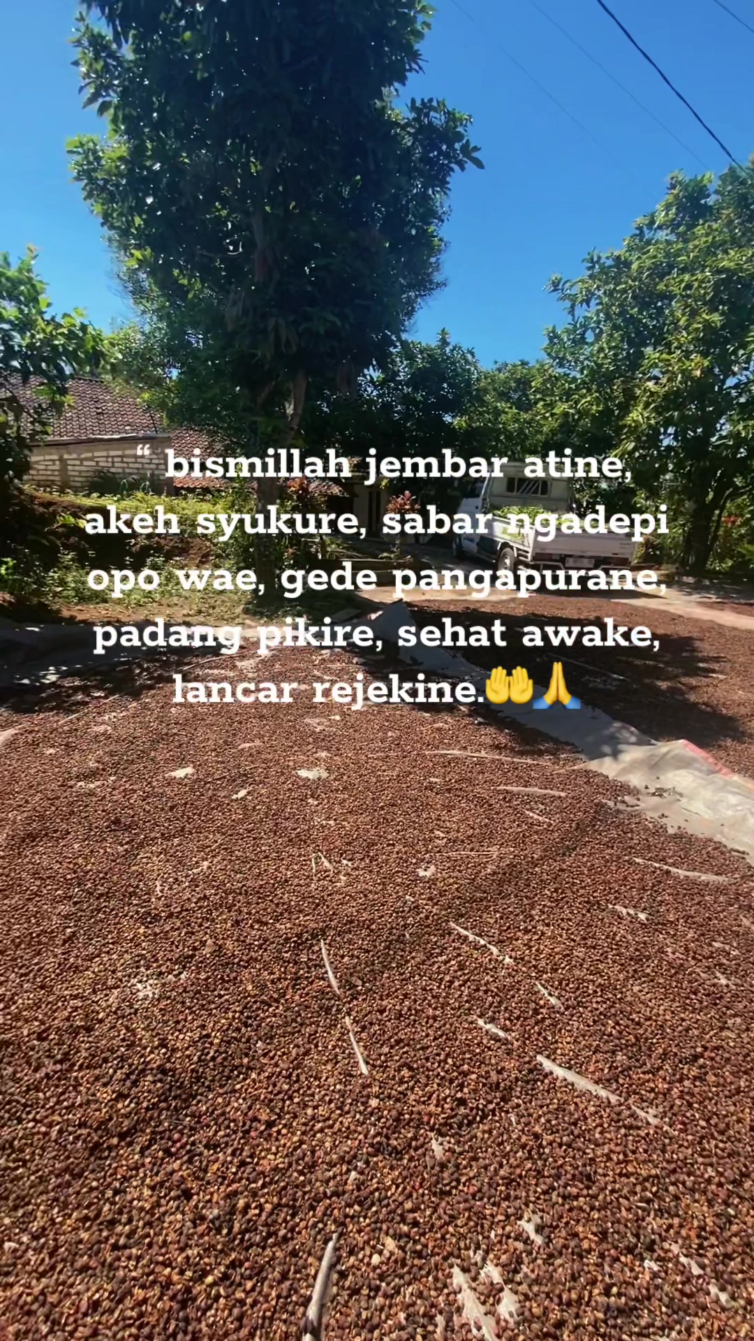 @syafatenda4