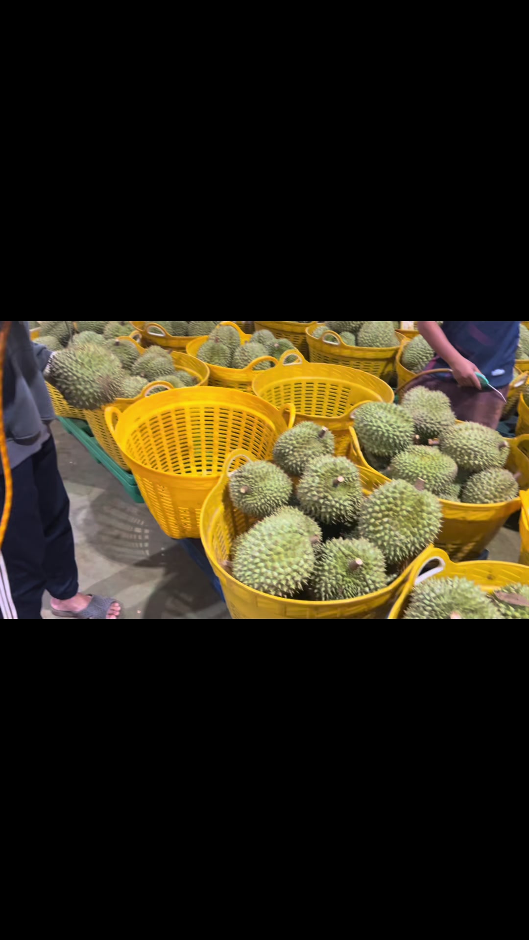 @Út thích đi tuorr