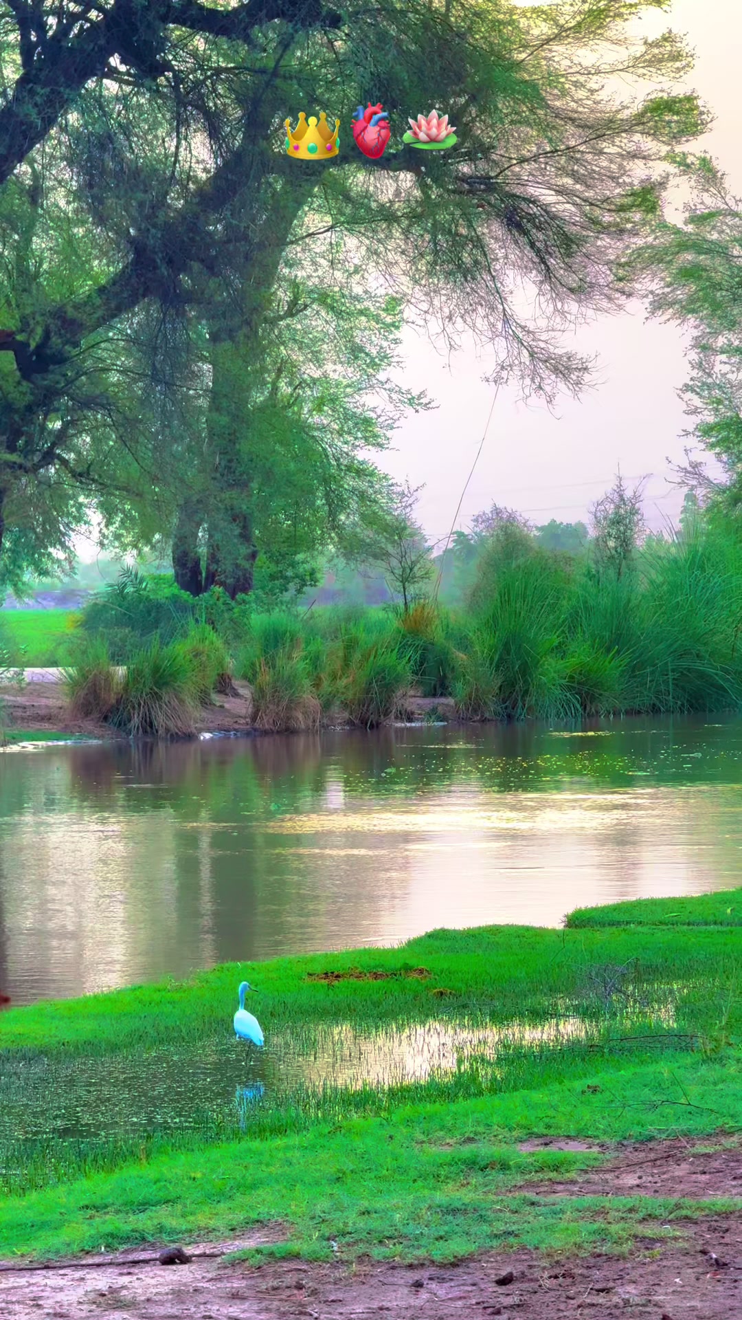 @پنجابی کلچر 🌾🍂