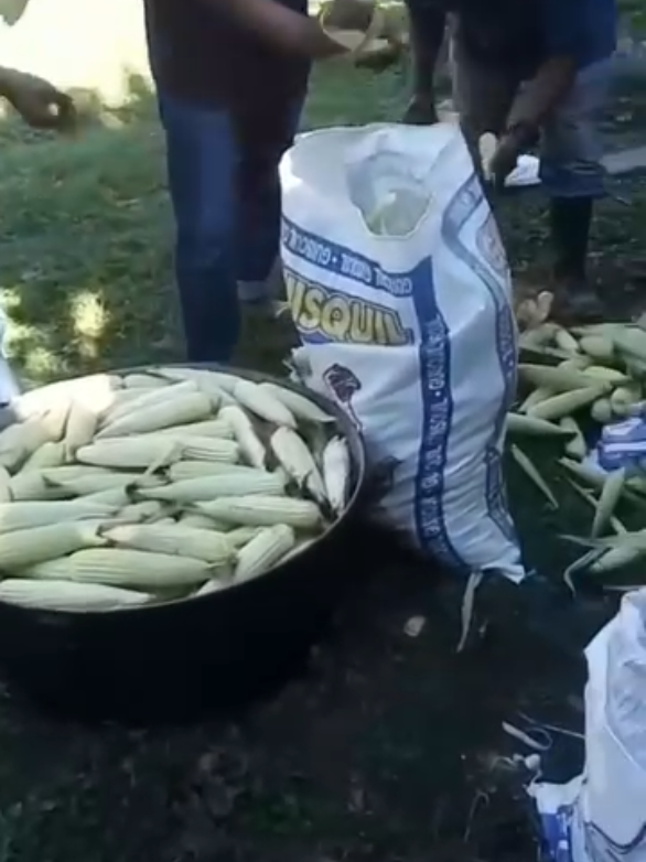 @Las Chicharras Chiapas