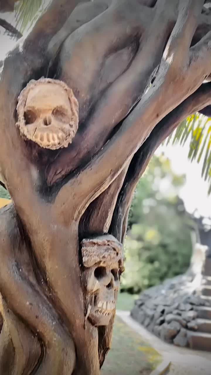 @ꪜꪖ𝘳ꨄ︎𝘴ꫝꪖ