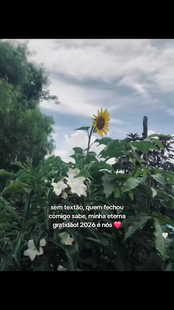 @🥀Frases🥀