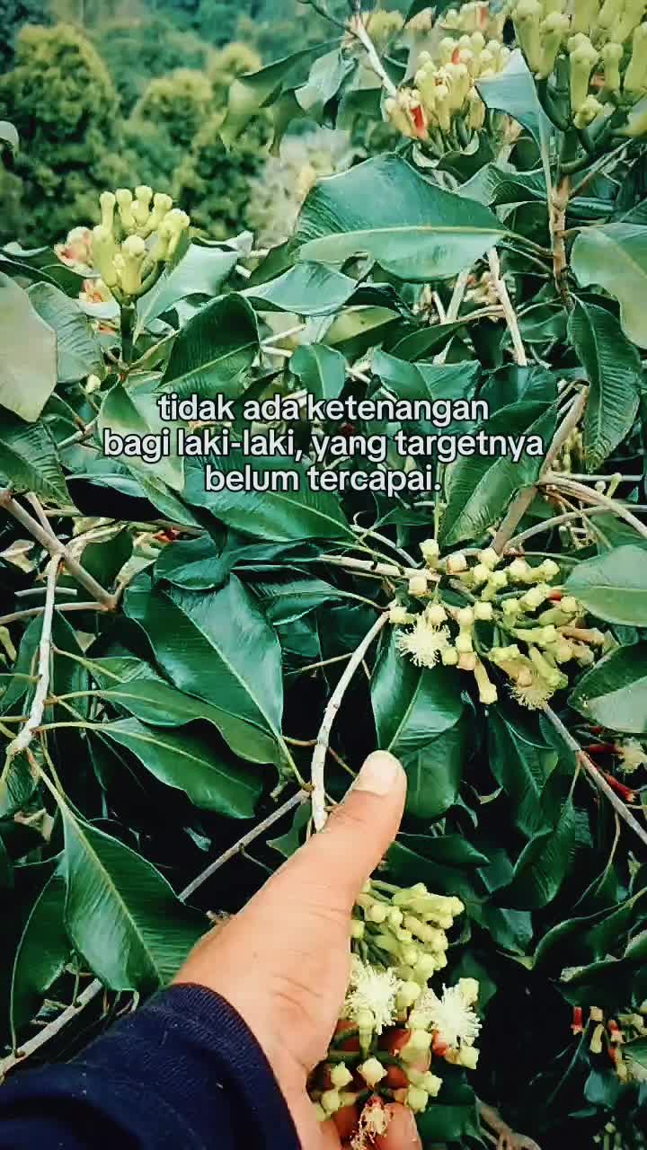 @โ๏ธ๐
ฑ๐
ฐ๐
ฝ๐
ถ ๐๐
ธ๐
ป๐
ปโ๏ธ
