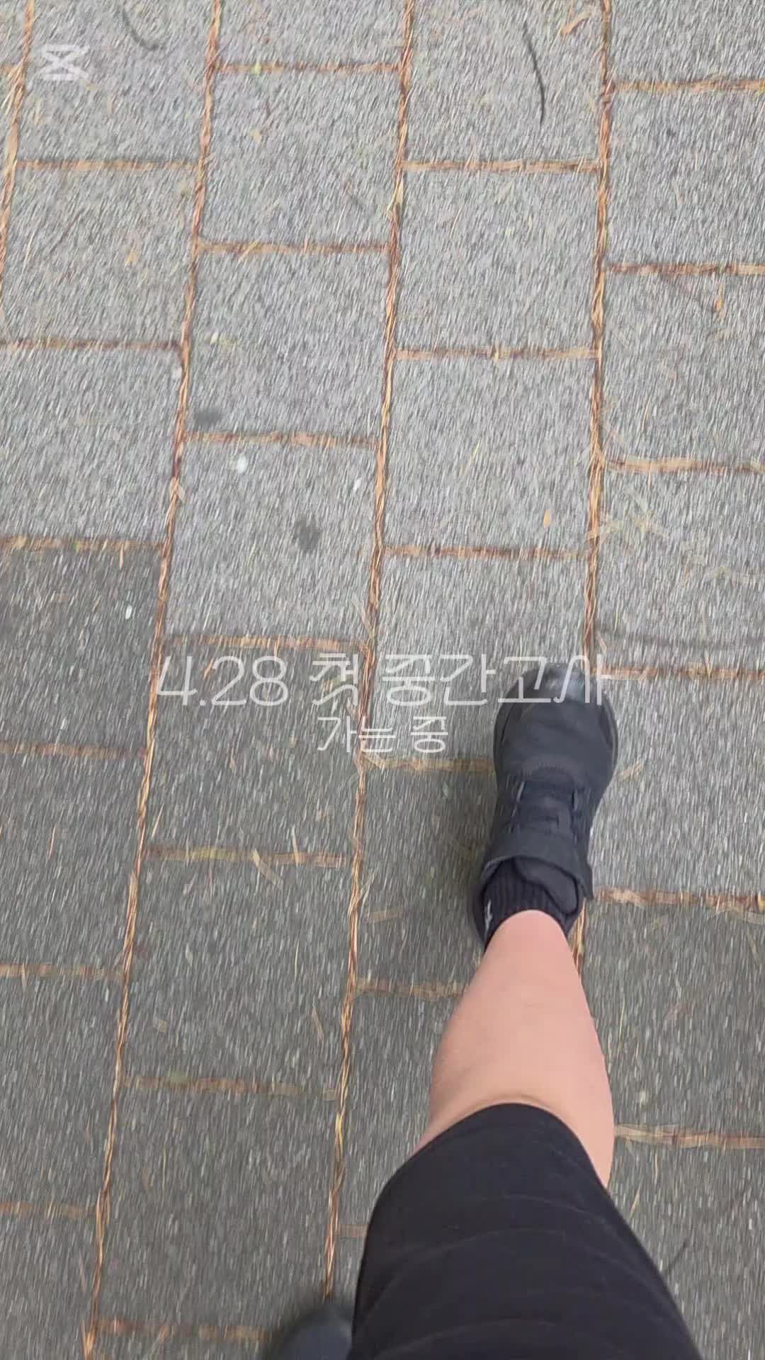 @호랭이🐯