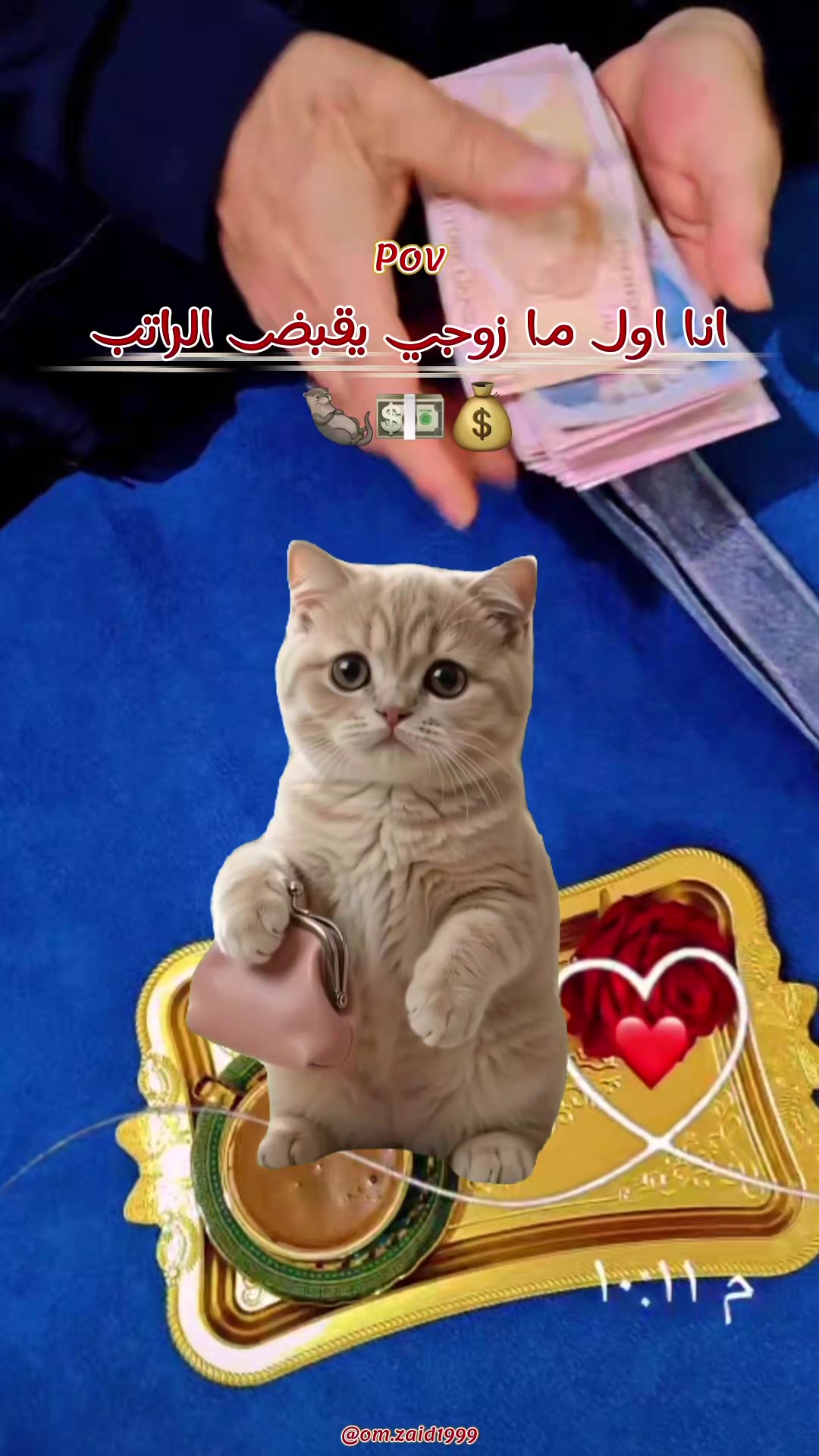 @سيرين الحامد