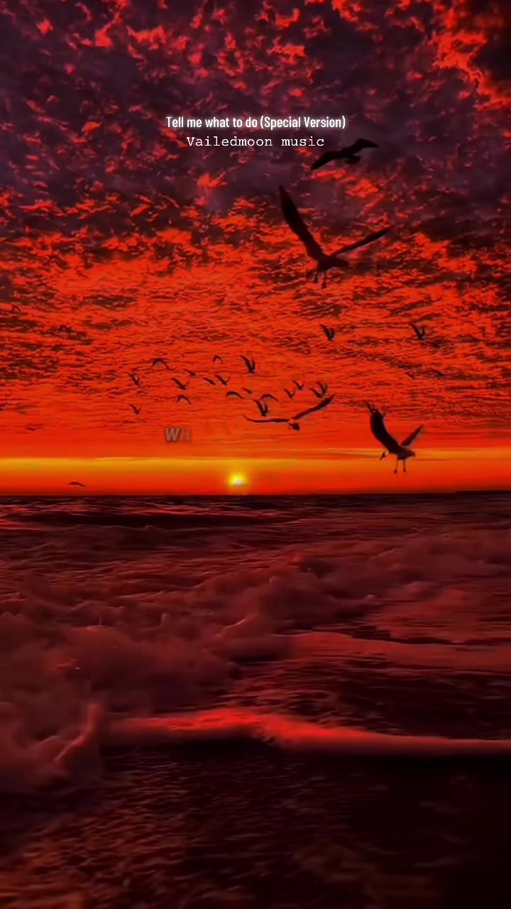 @tmothy72