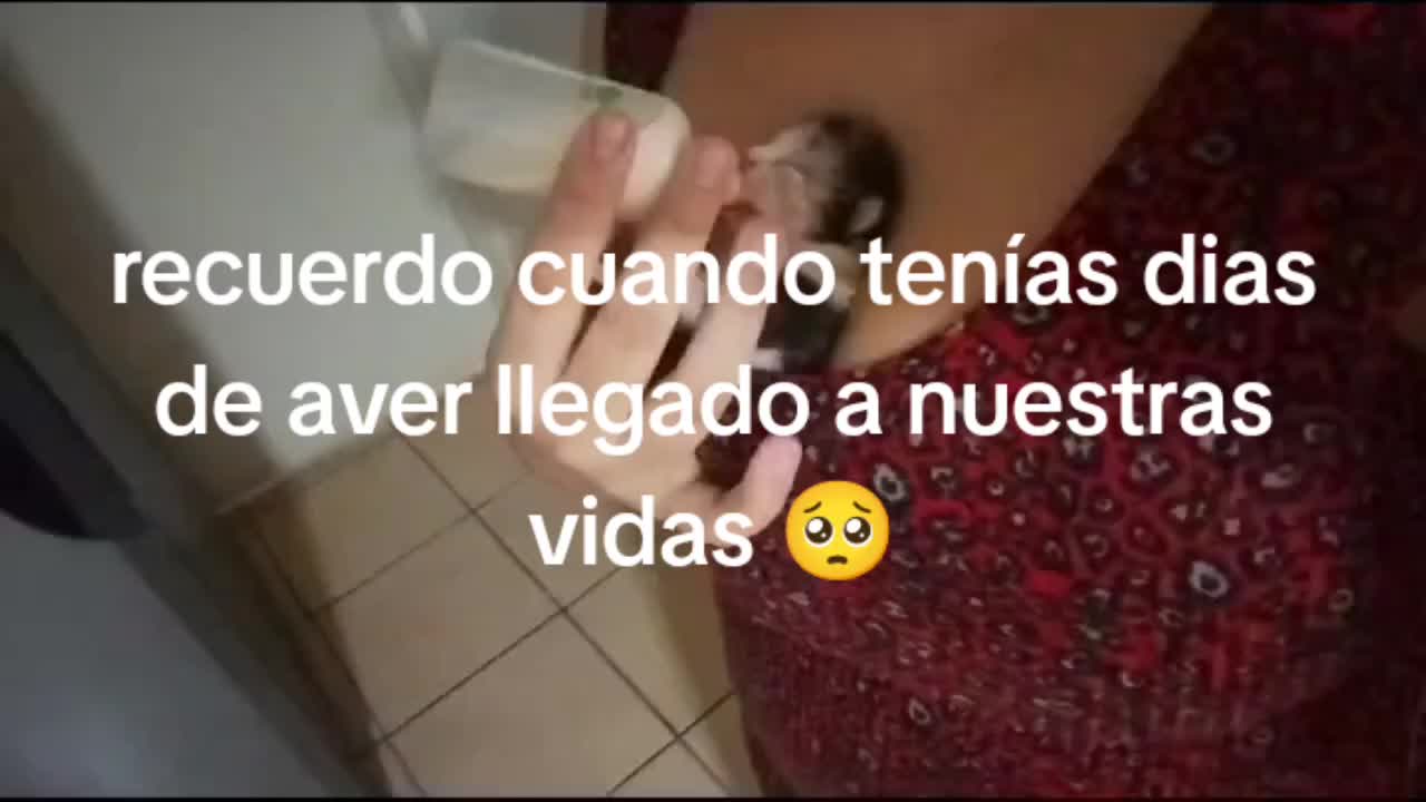@atenea.VM