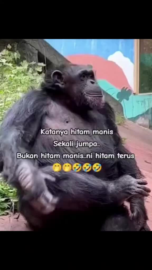 @Hijrahku🤍