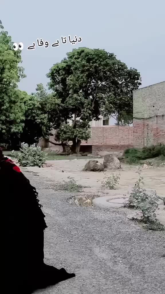 @🥷زیبی ملتان آلا 🥷