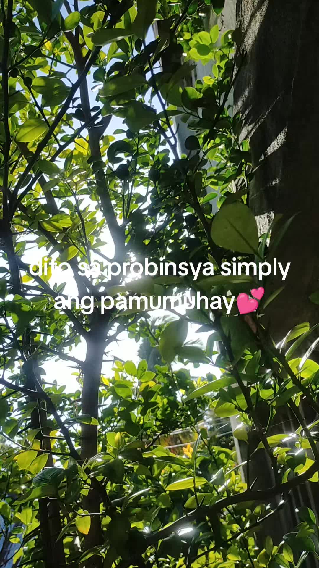 @Aika