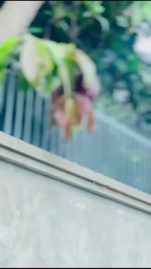 @Amankhan313