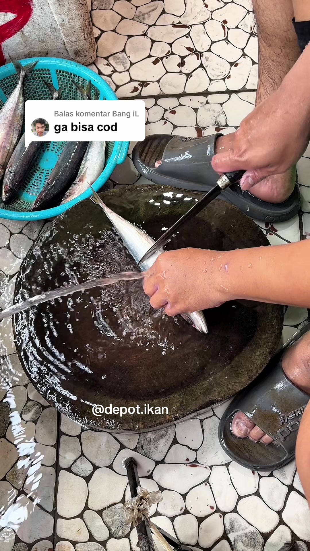 @Depot Ikan
