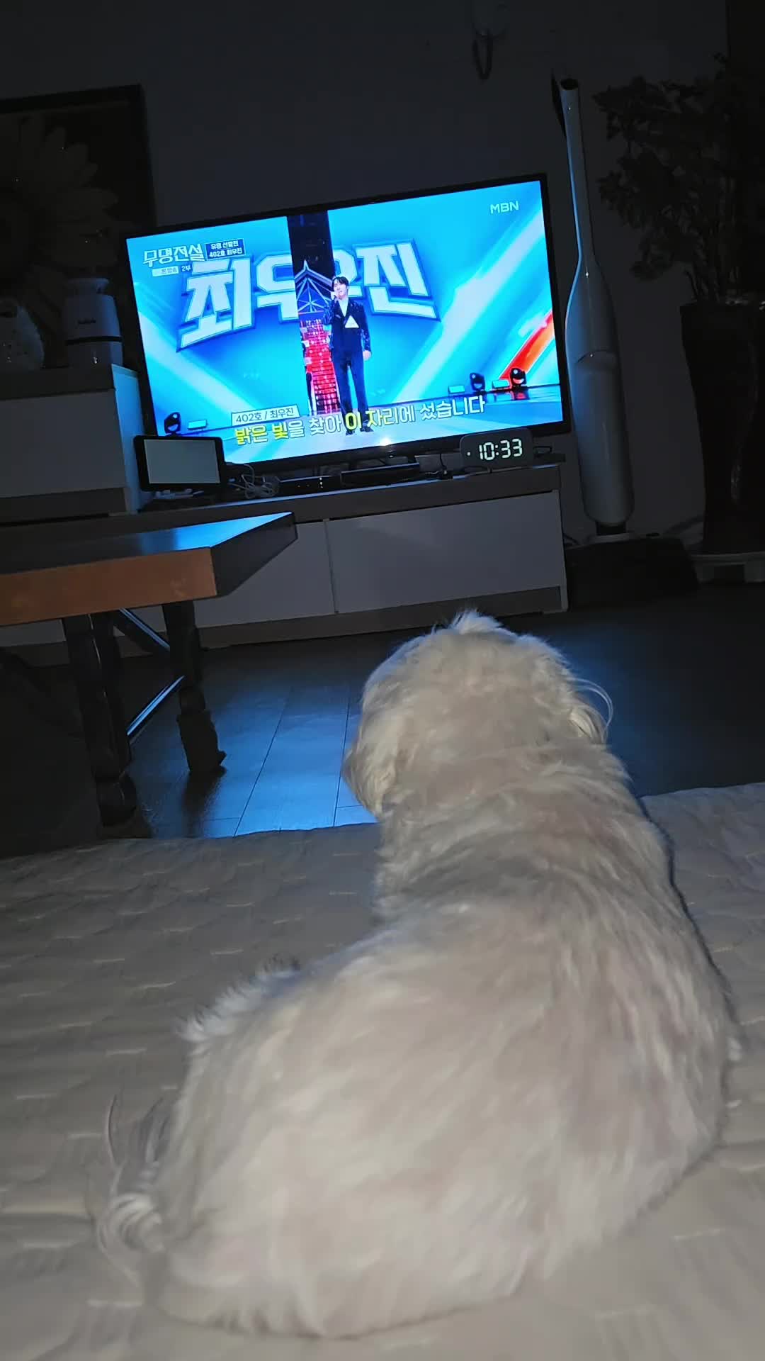 @❤파란눈녹차❤