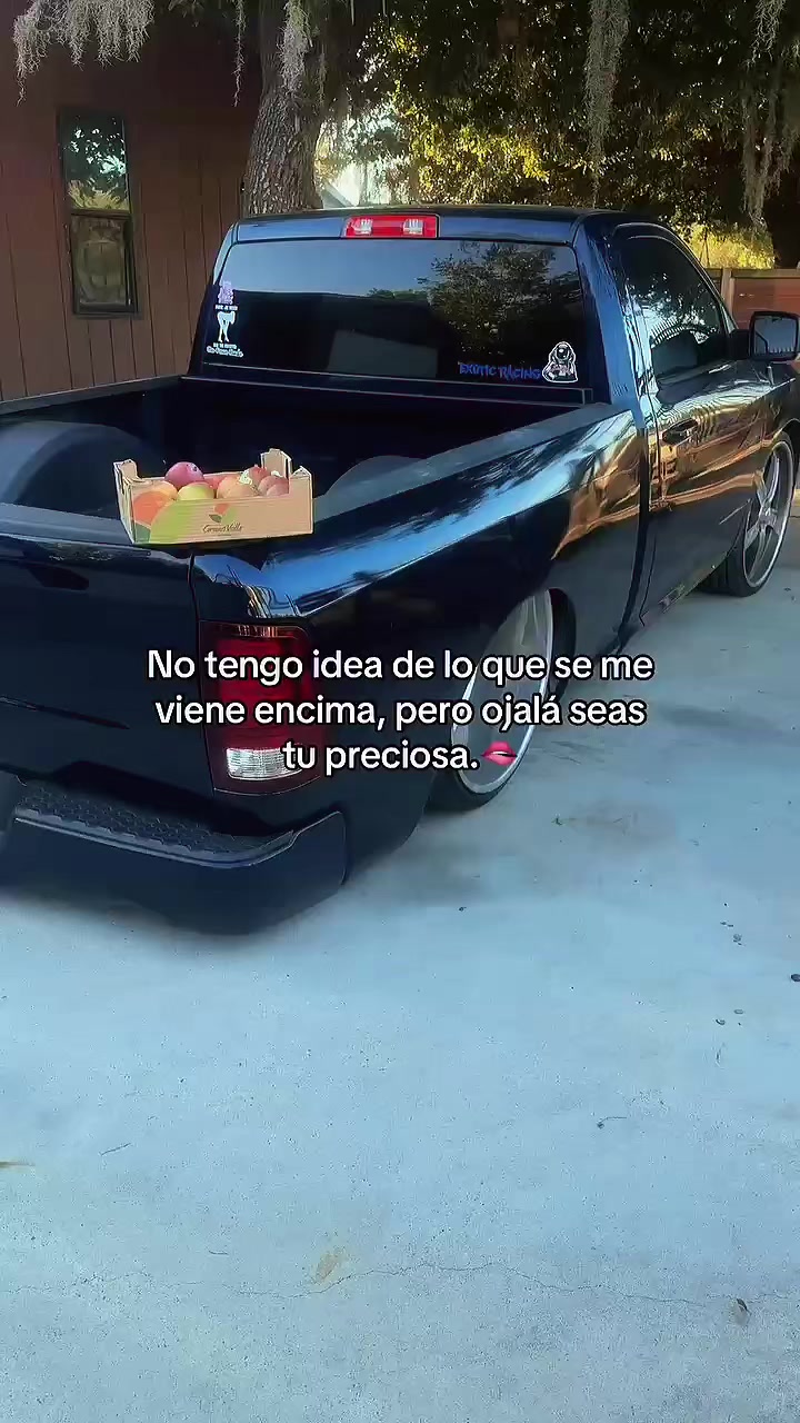 @tigrillo_mx