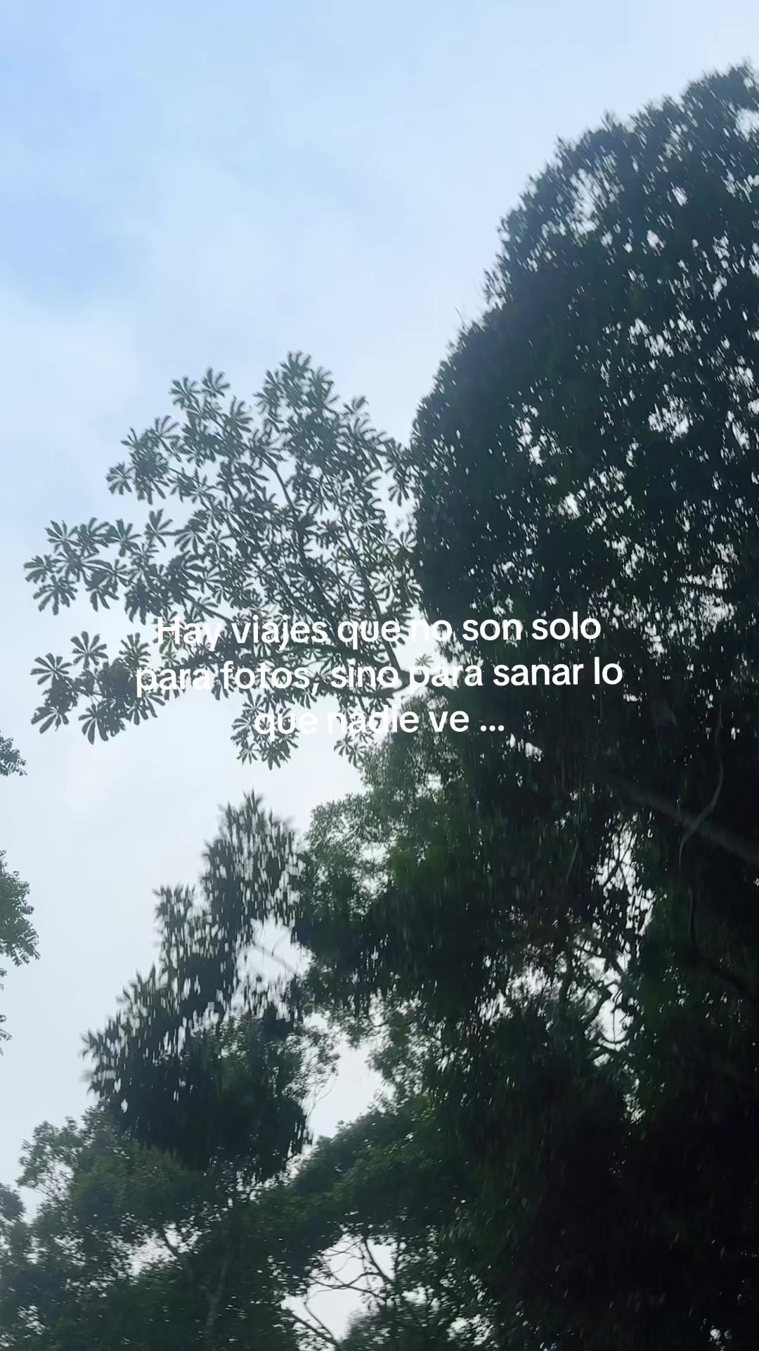 @Wendy Jara