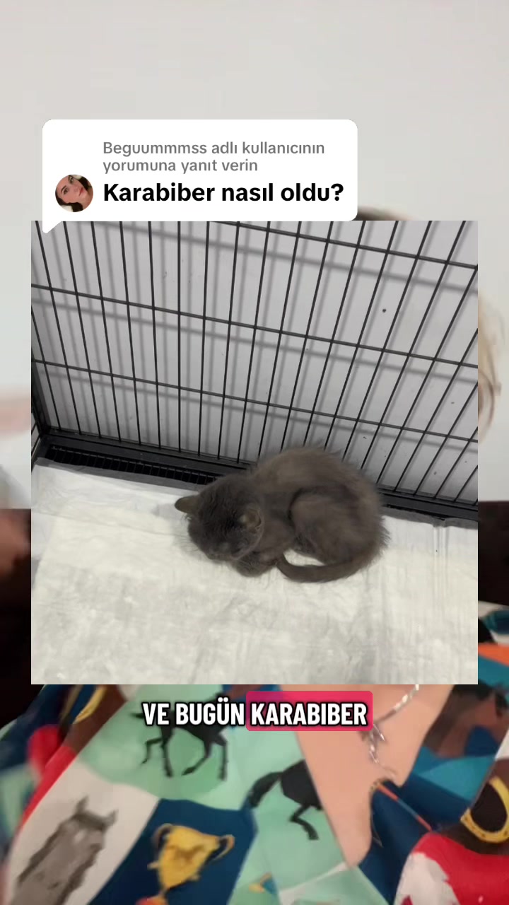 @Beyza🐾
