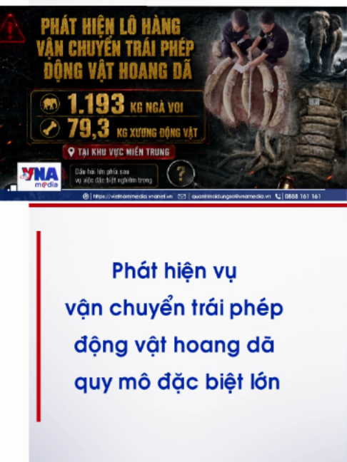 @Nội dung số và Truyền thông