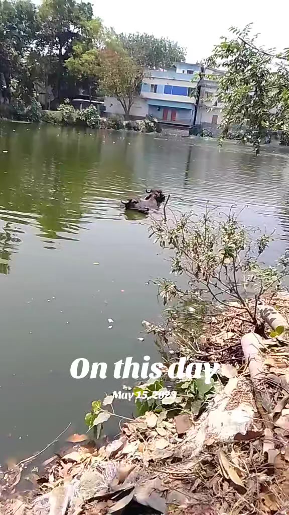 @biplobkhalek