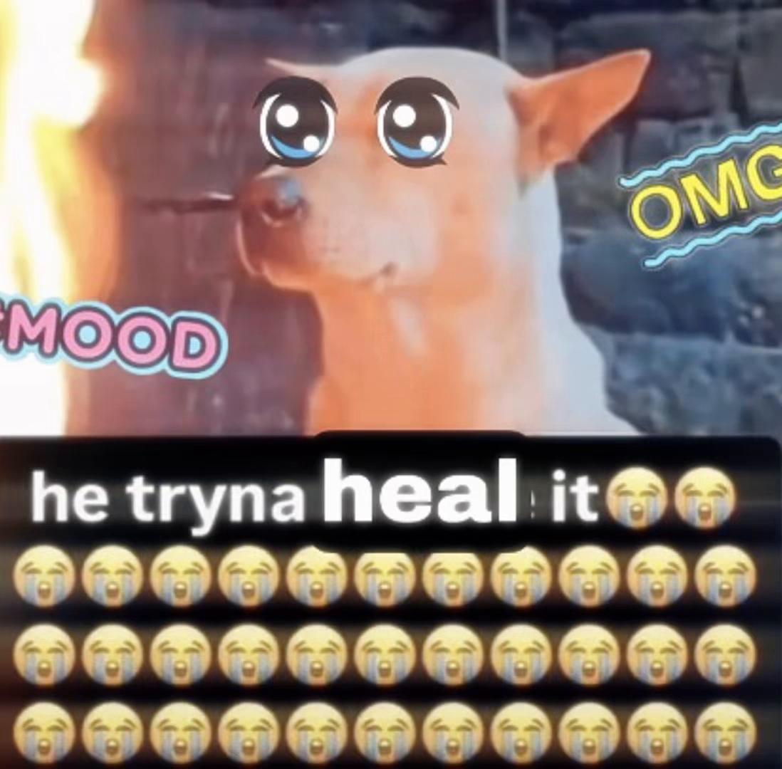@🐈⬛