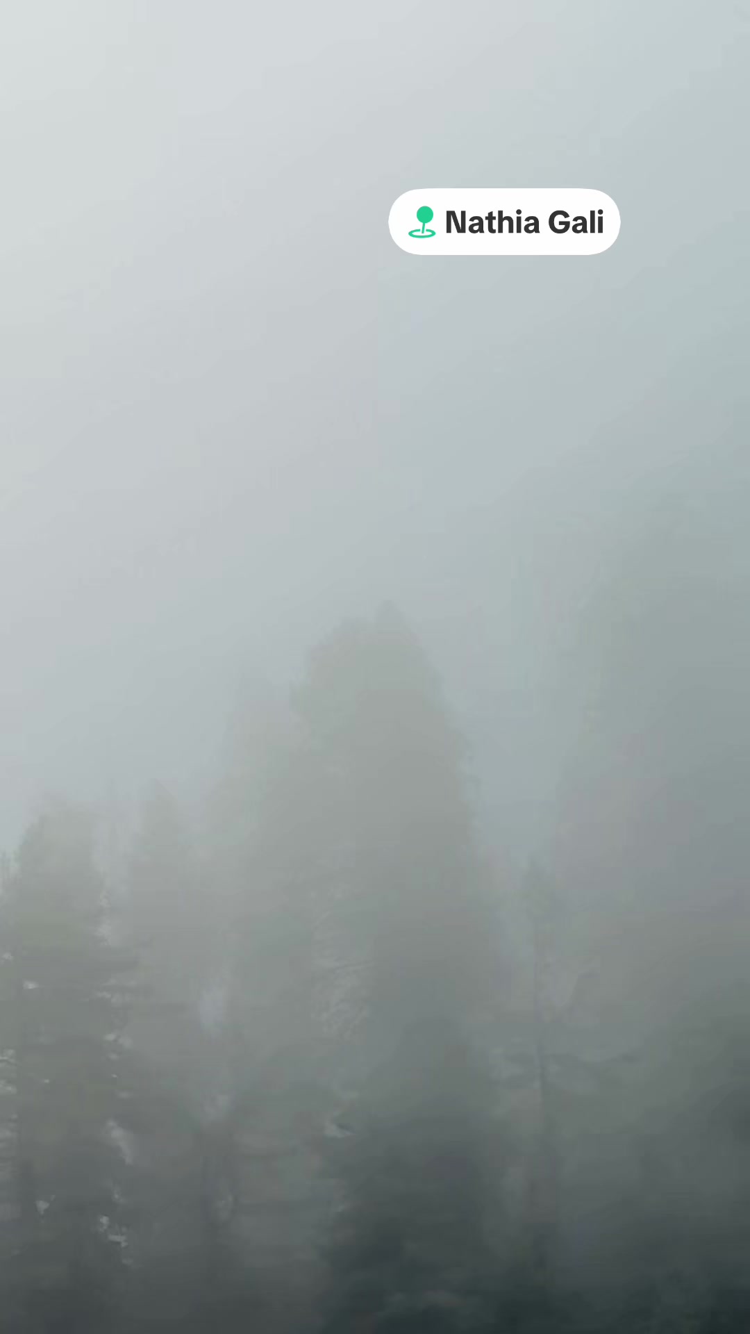 @chalirazagujjar005