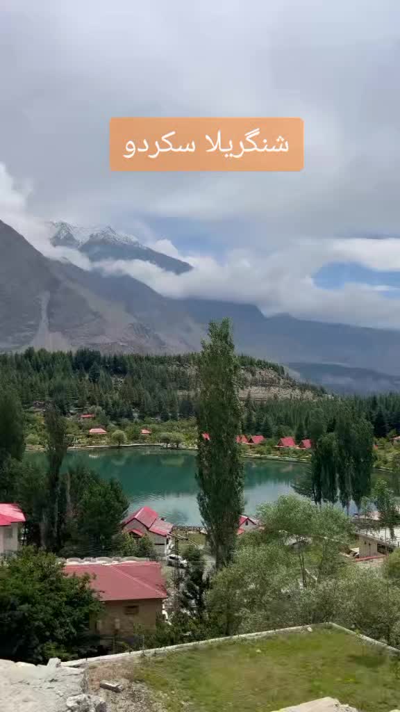 @moazam ali 4691