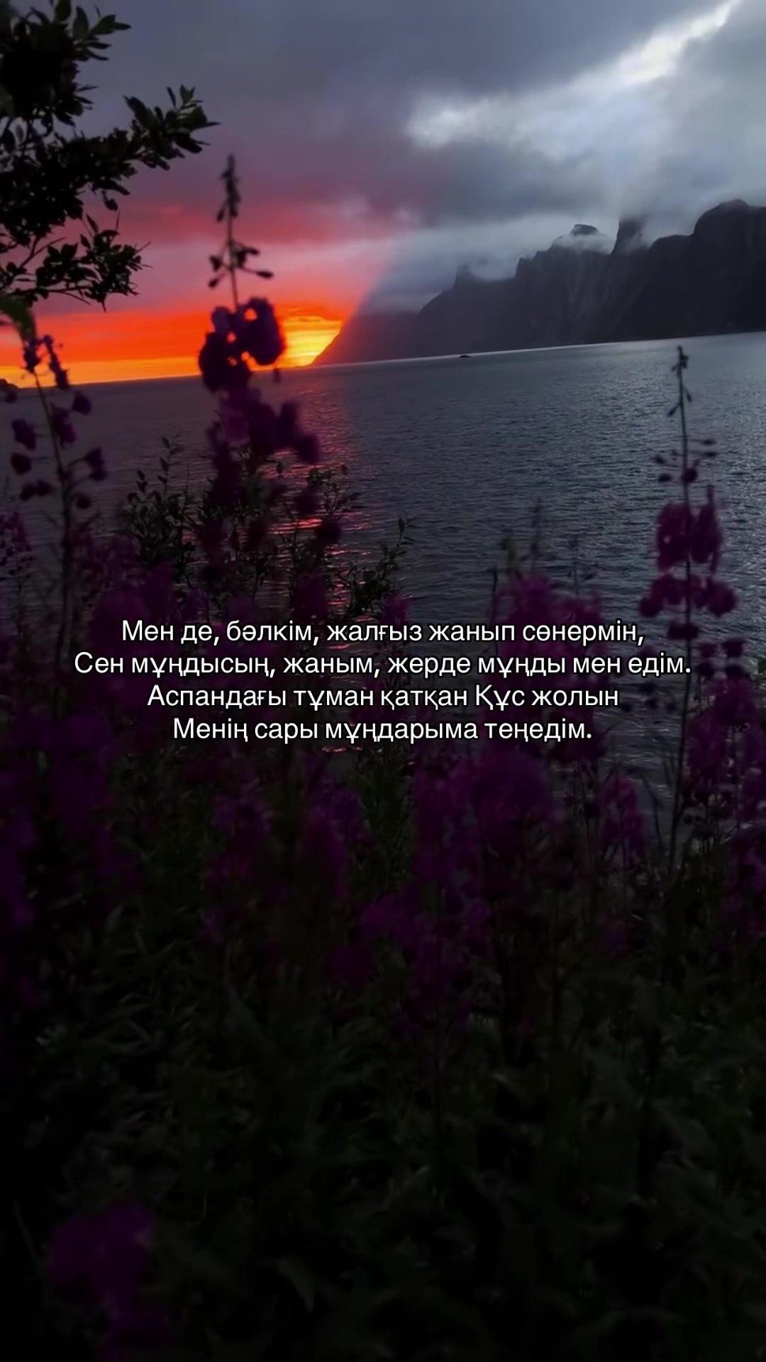 @zeroo_0011