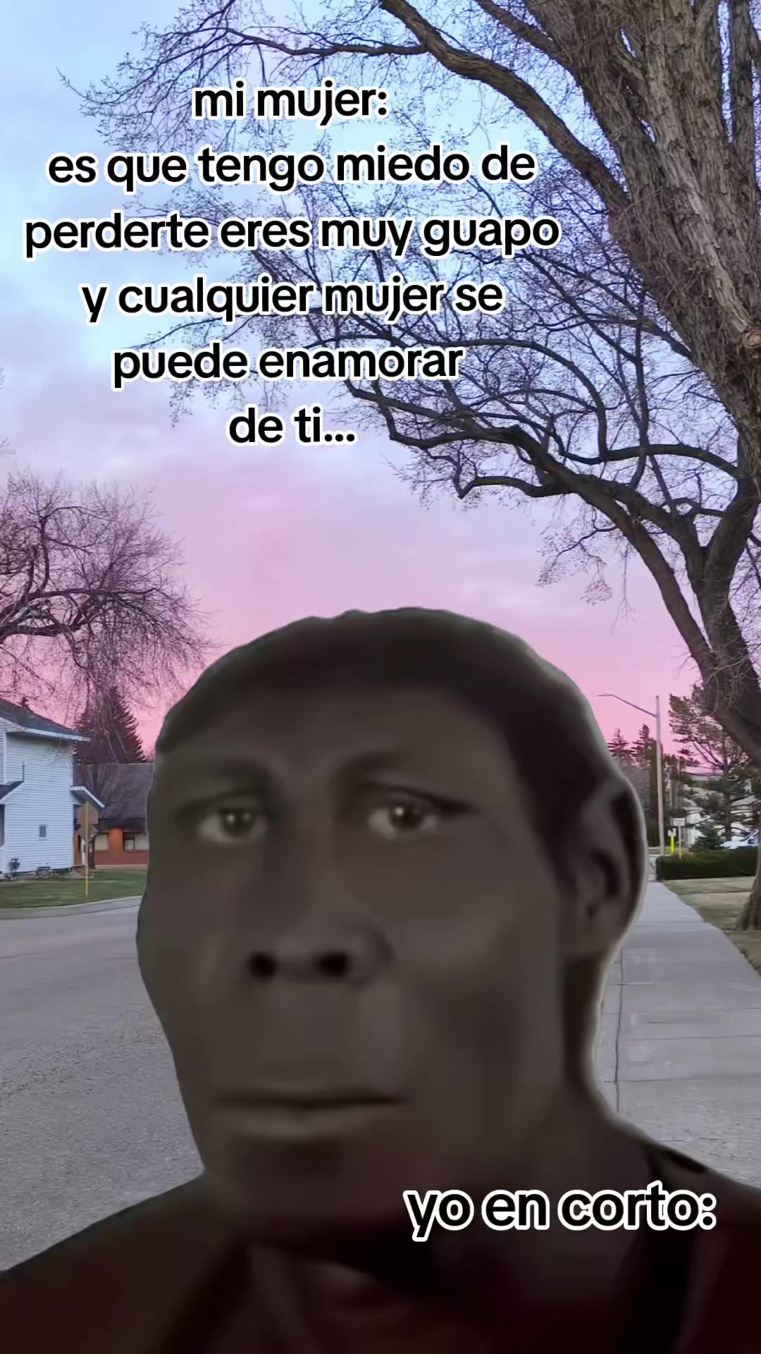 @incaparina_no.1