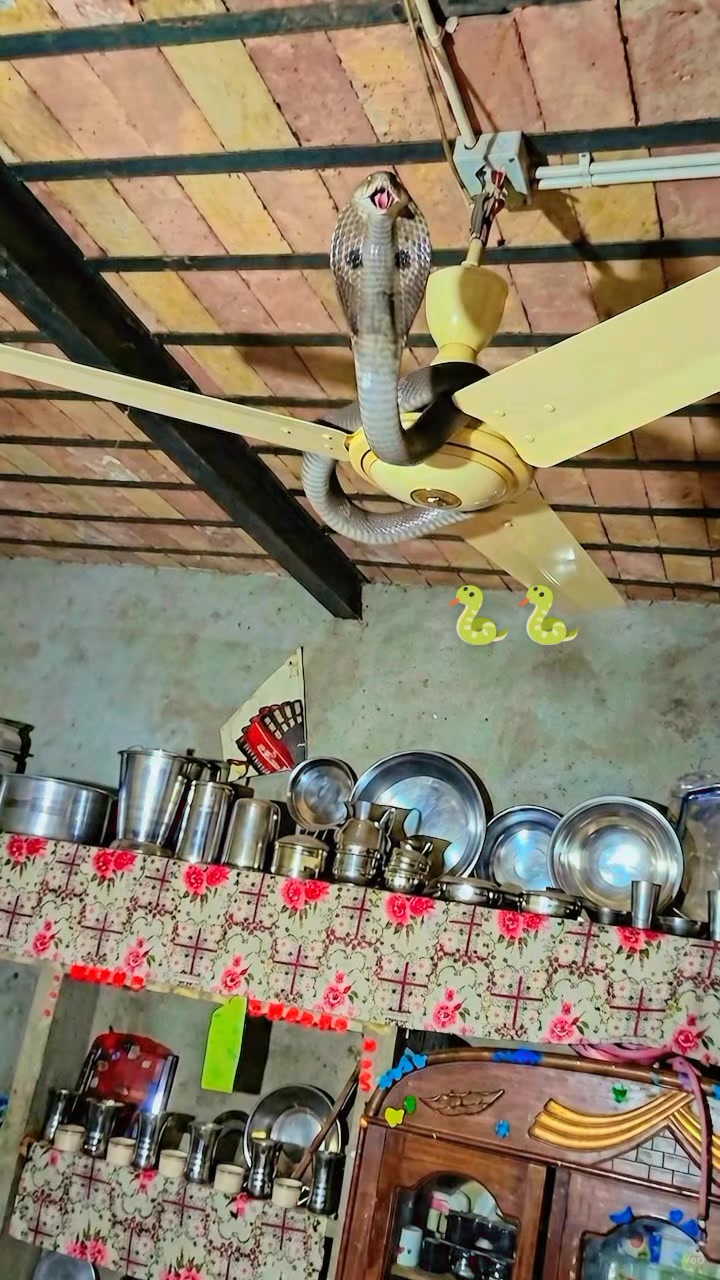 @804•