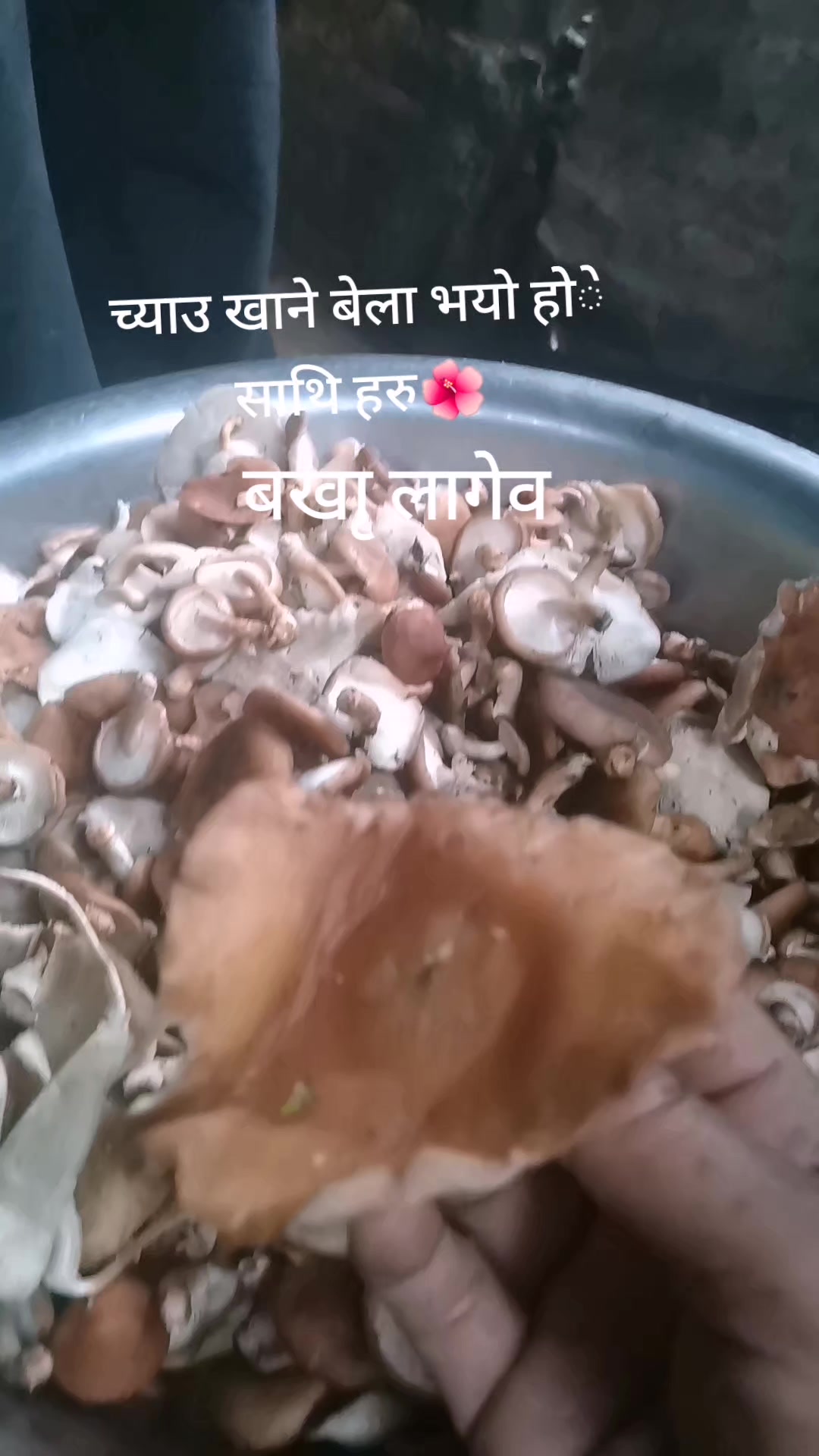 @SANU❤️❤️🌷
