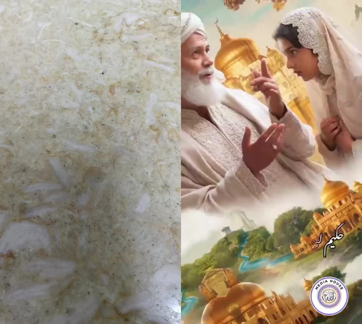 @mdshamshad8369