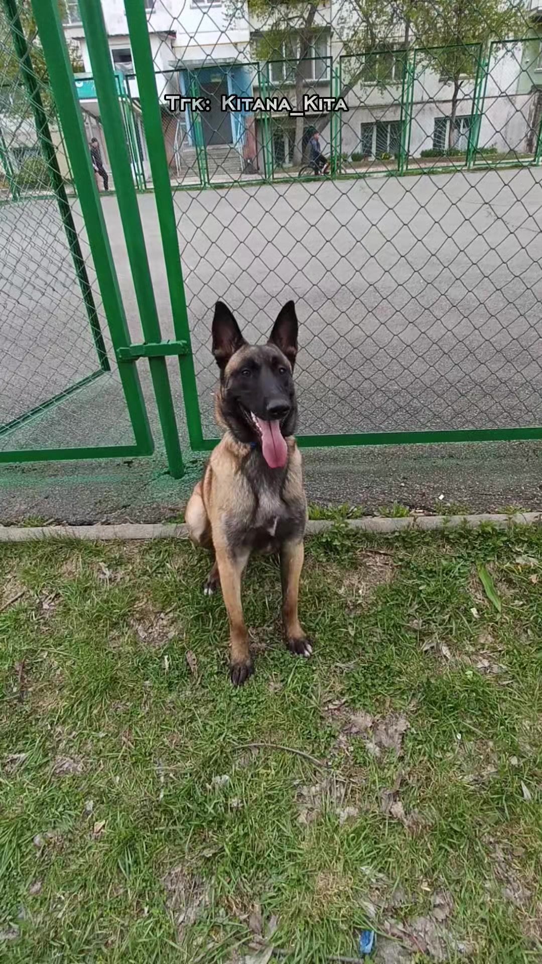 @⚡Кита from авито⚡