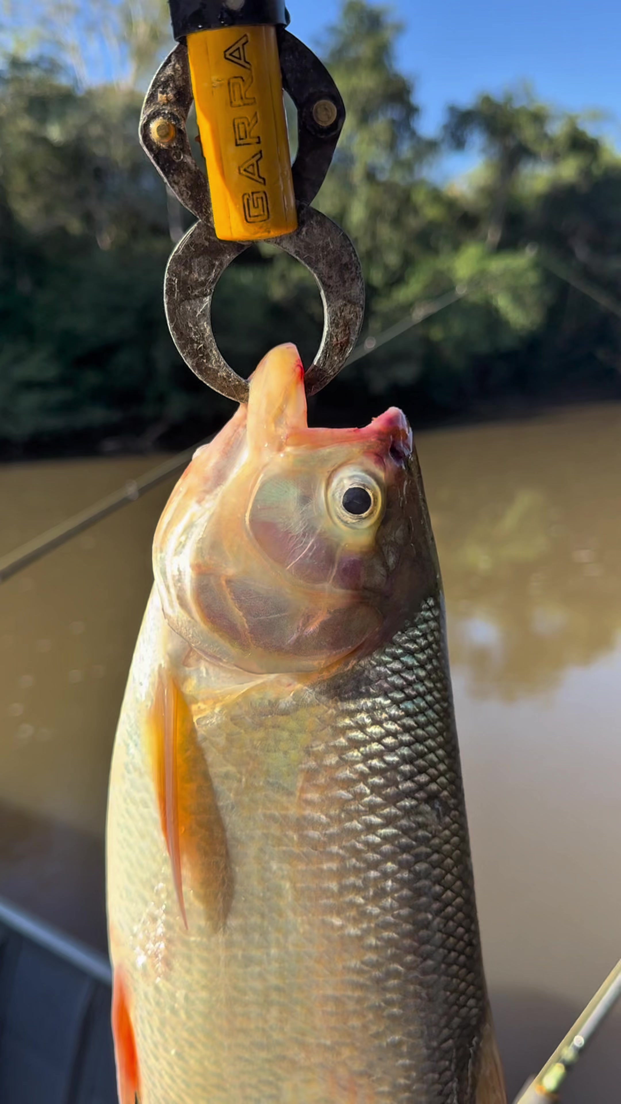 @Magrão Pesca