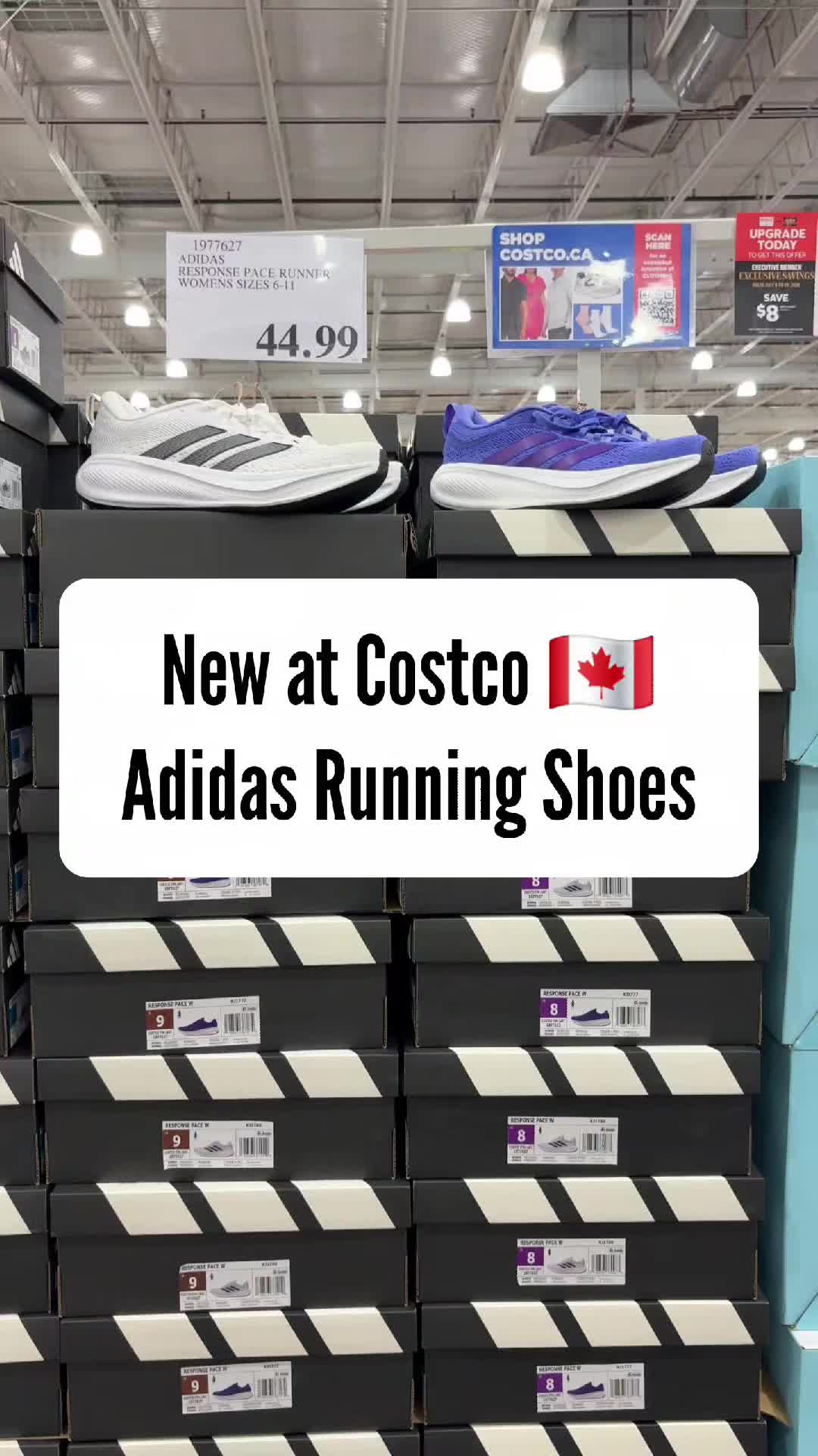 @TheCostcoMan
