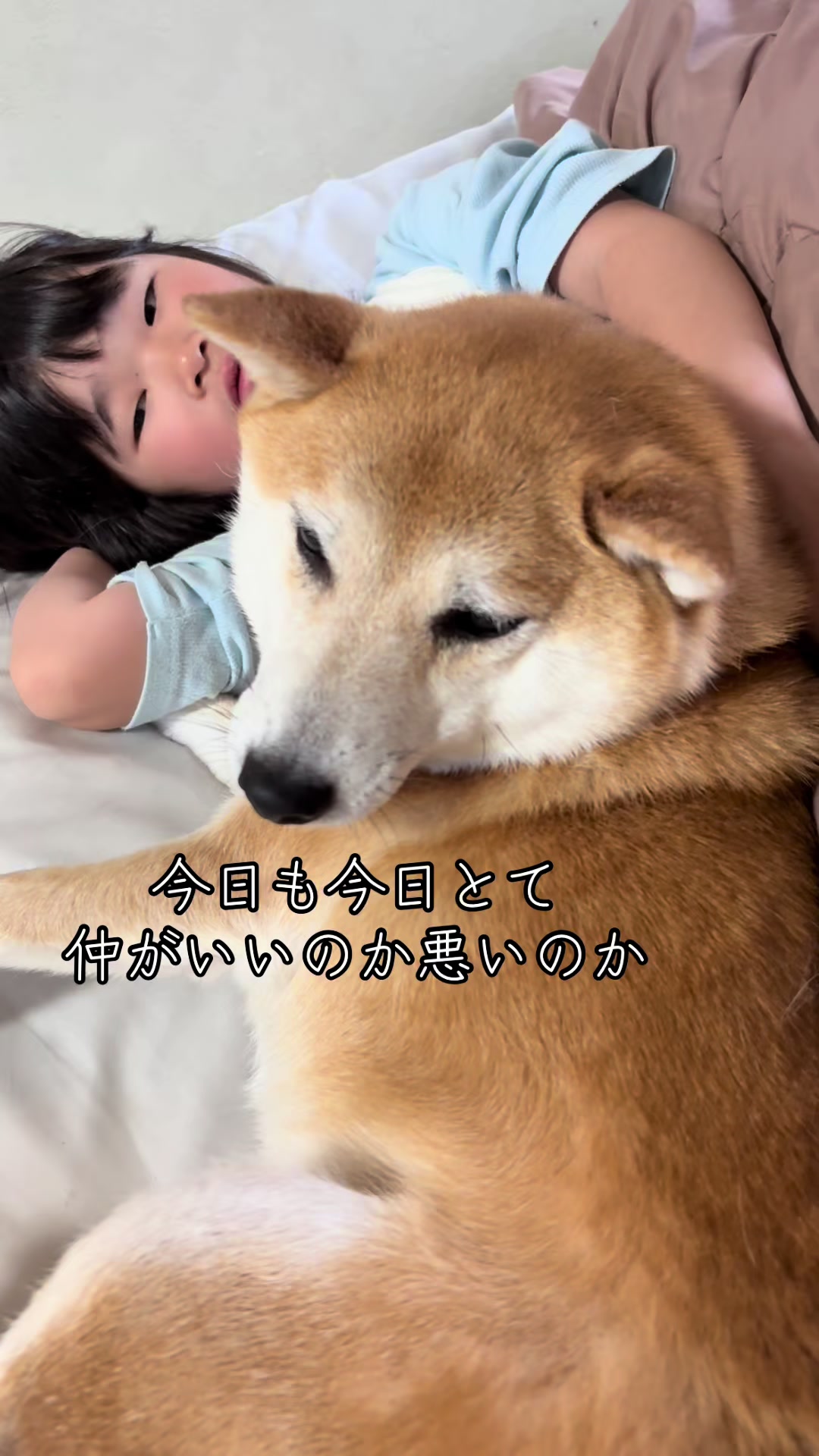 @nana0209 🪽🥴