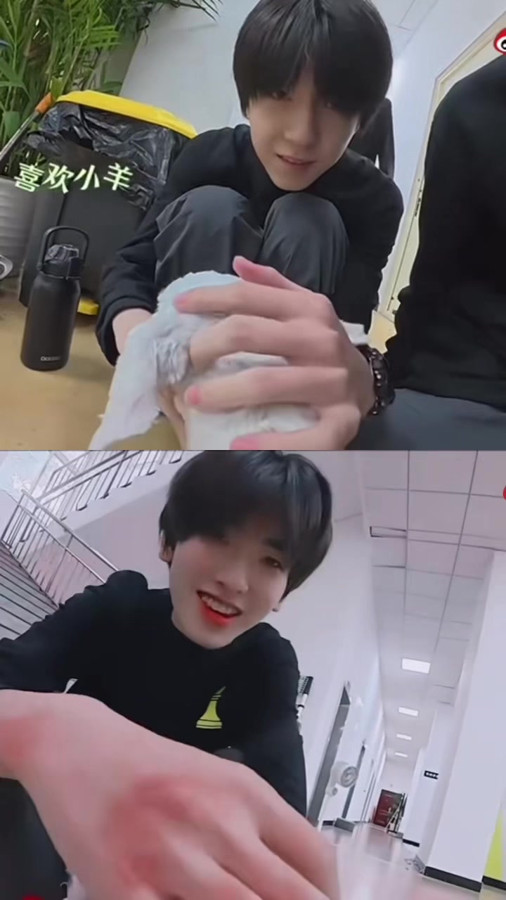 @wenhan___15