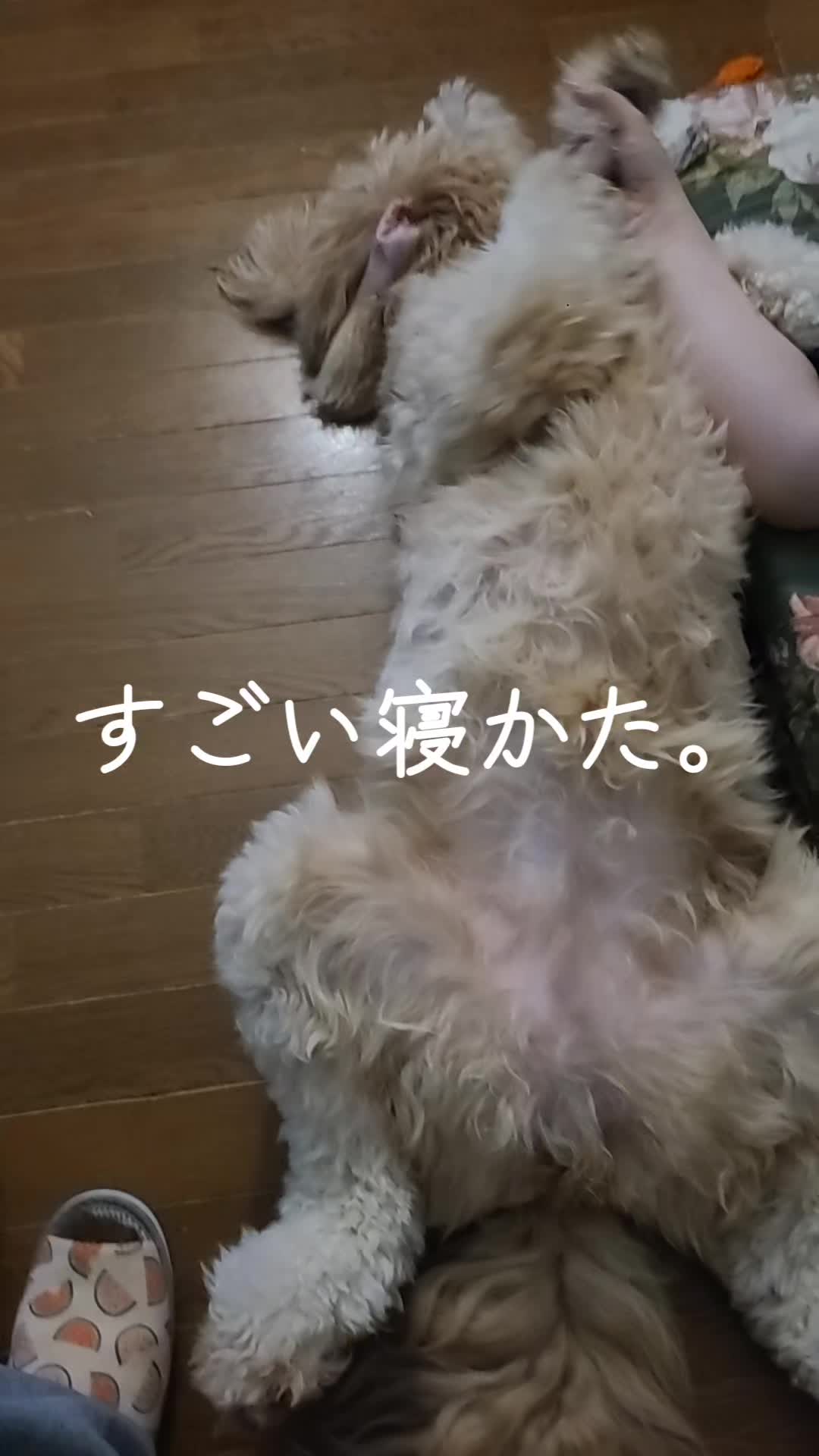 @沙亜代