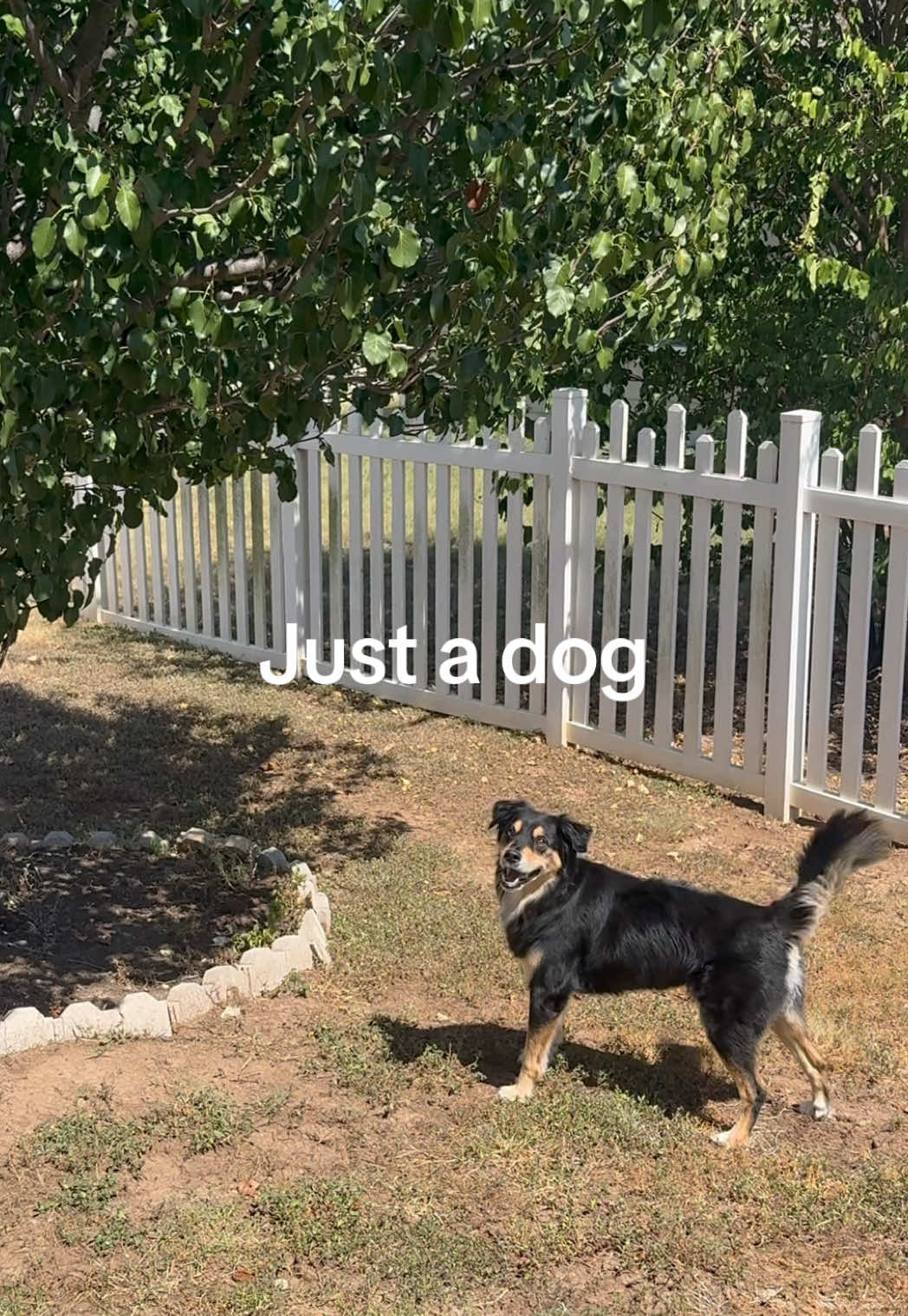 @BoopleTheSnoot