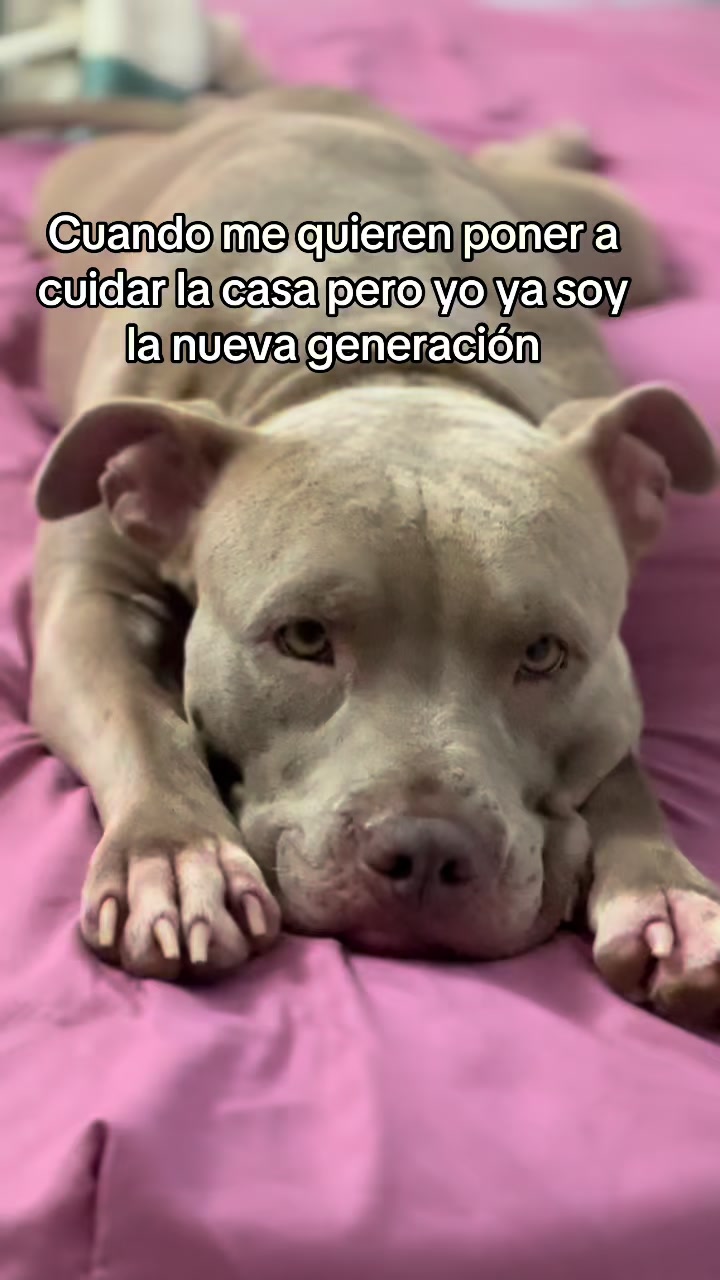 @Luisacleo