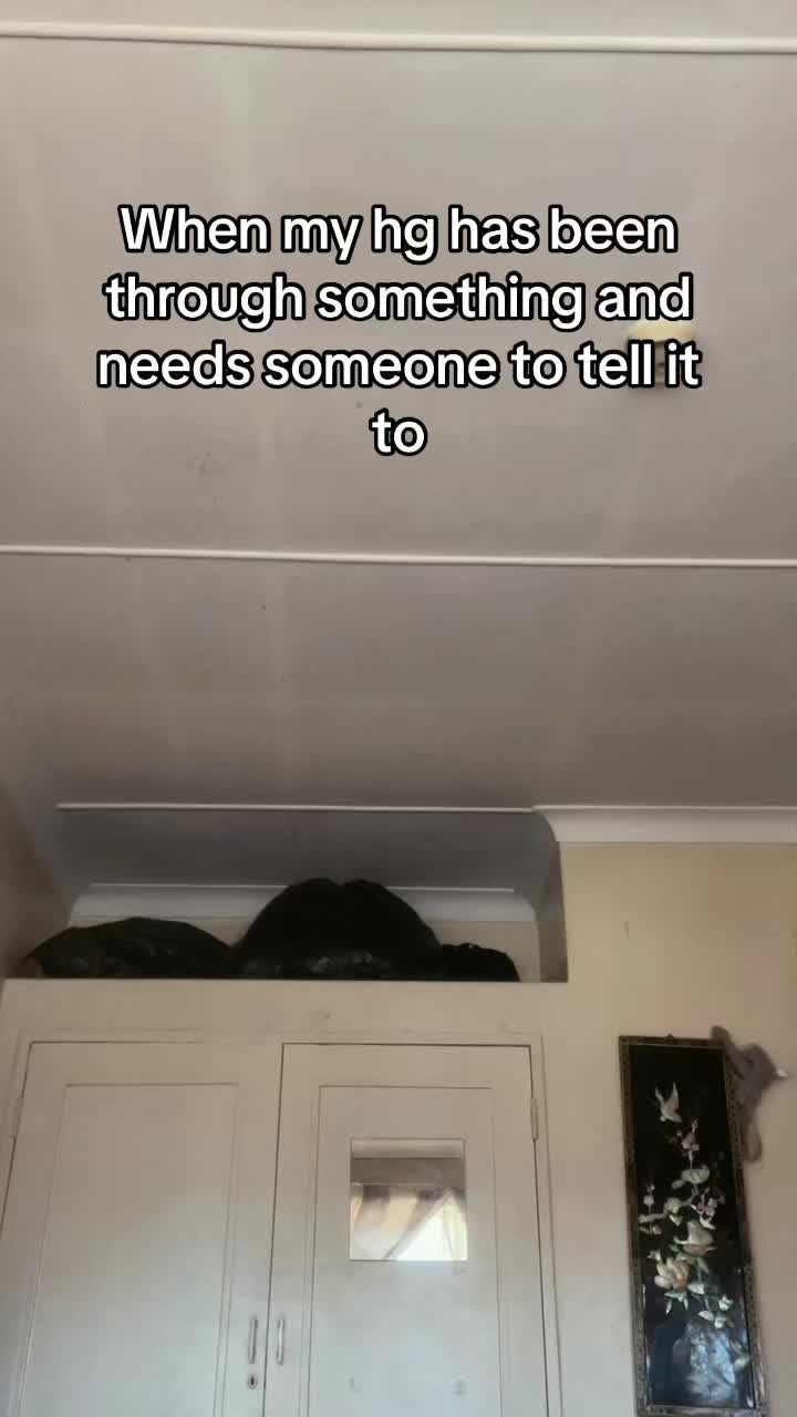 @Trident_Stray