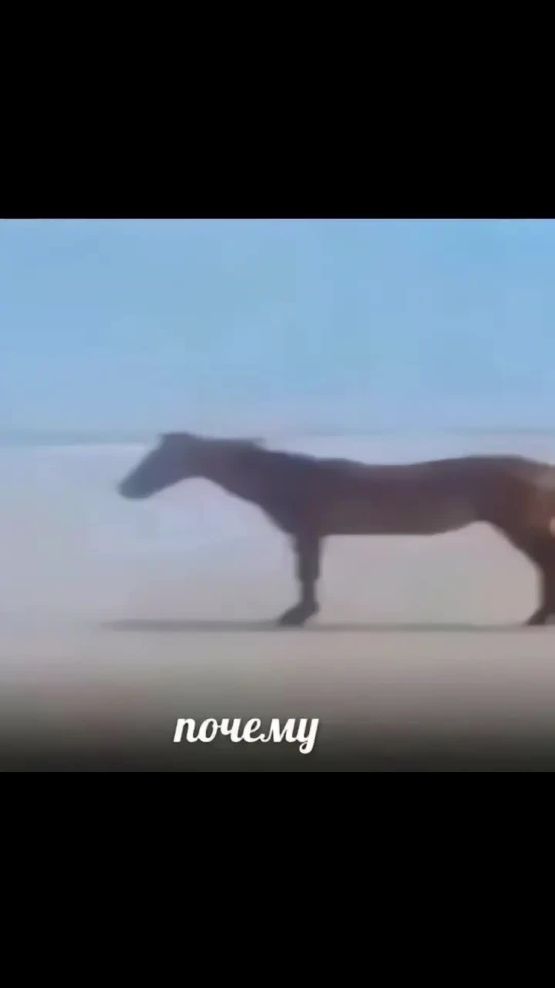 @Созвездие | ПОЛКИ | СПБ