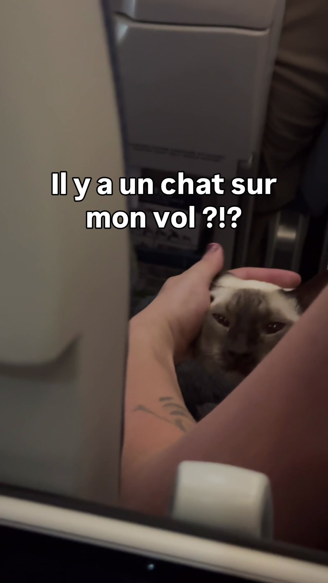@Ariane Brunet