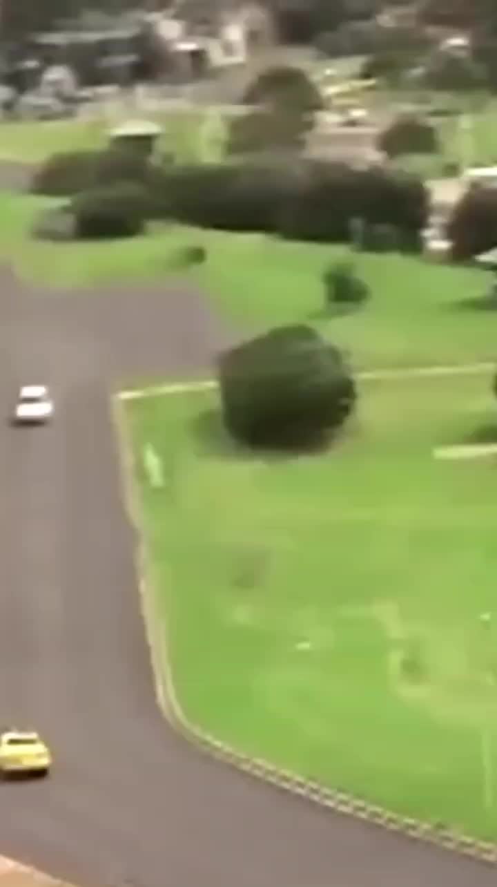 @&copy;️apri_🅱️olly