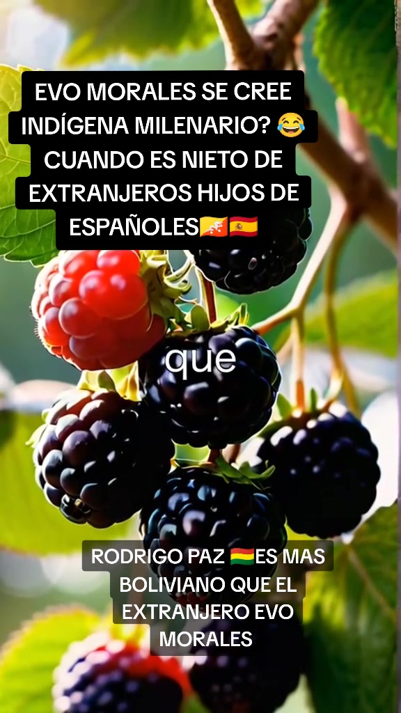 @Boliviano Libre